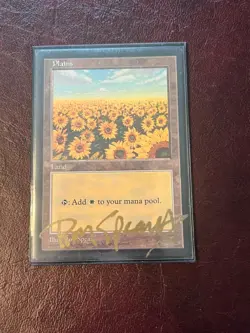 MTG Plains - Red Pack (Spears) - APAC Lands Lightly Played English SIGNED - Image 1