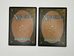 2x Teshar, Ancestor's Apostle - Dominaria Magic The Gathering MTG #036 Rare NM - Image 2