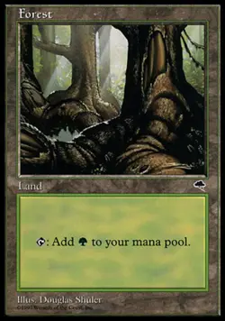 Forest (309) - Tempest # MTG Magic The Gathering - Image 1