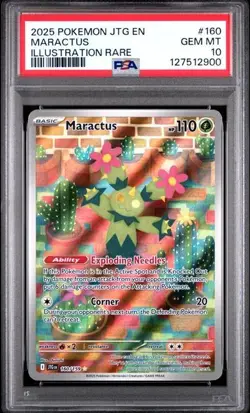 2025 POKEMON JTG EN-JOURNEY TOGETHER #160 MARACTUS ILLUSTRATION RARE - PSA 10 - Image 1