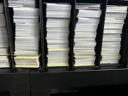 Pokemon TCG RESERVED Bulk Lot 6500+ Cards: Non-Holo & Holo/Reverse+ - Image 1