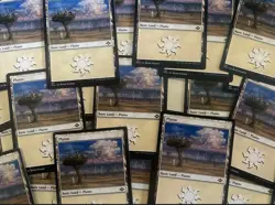MTG 25 x Lightning Plains - Modern Horizons 2 - Magic The Gathering - Image 1