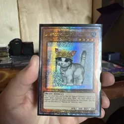 Yugioh! Rescue Cat RA02-EN001 Quarter Century Secret Rare 1st Edition NM - Image 1