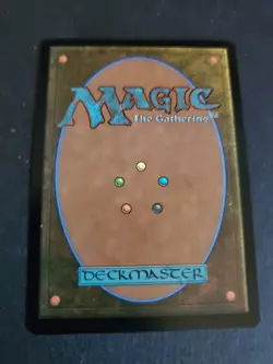 Rhythm of the Wild (Borderless) Teenage Mutant Ninja Turtles MTG TMT TMNT NM - Image 2