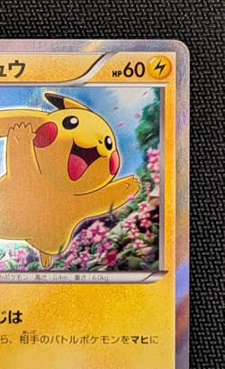 2015 Pokemon Japanese XY Promo Pikachu 156/XY-P Holo NM - Image 3