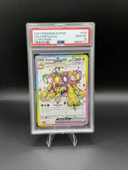 Galvantula Ex 159/142 Pokemon Ultra Rare PSA 10- Stellar Crown Gem Mint - Image 1