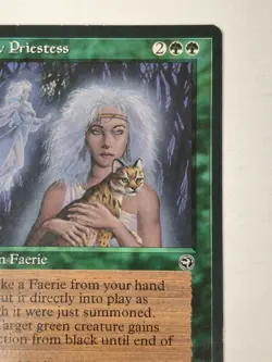 Magic the Gathering MTG 1995 Homelands Card -- Willow Priestess BB - Image 3