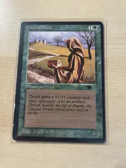 Citanul Druid Antiquities Regular - Image 1