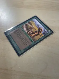 Citanul Druid Antiquities Regular - Image 3