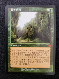 Japanese Sylvan Library NM DMR Dominaria Remastered Retro Old Frame Regular MTG - Image 1