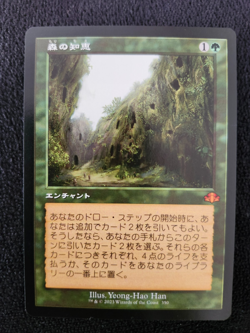 Japanese Sylvan Library NM DMR Dominaria Remastered Retro Old Frame Regular MTG - Image 2