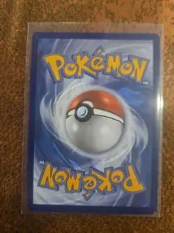 Pokemon Bidoof GG29/GG70 Crown Zenith: Galarian Gallery Holo TCG NM Condition - Image 2