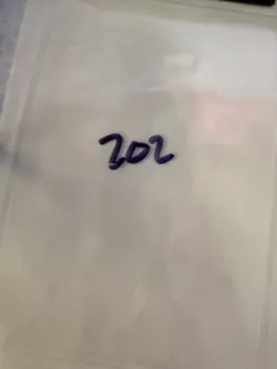 Magic the Gathering: Beta Stone Rain MTG Beta - Image 3