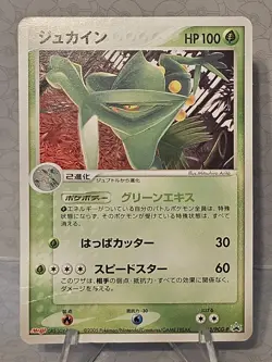Sceptile 063/PCG-P Meiji Promo Japanese Pokemon Card ~ MP - Image 1