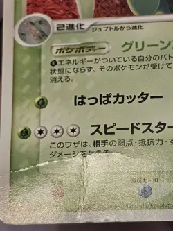 Sceptile 063/PCG-P Meiji Promo Japanese Pokemon Card ~ MP - Image 4