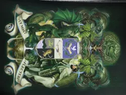 Dragon Shield Card Sleeves 100 Pack Art Classic King Mothar Vanguard - Image 4