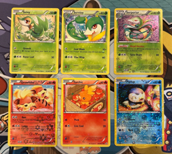 Pokemon Legendary Treasures: Radiant Collection 18 Card Lot w/Eevee RC14 - NM - Image 3