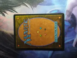 Magic the Gathering MTG FBB Italian Legends AVOID FATE LP - Image 2