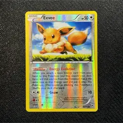 Pokemon Eevee Reverse Holo Basic Evolution 50HP XY Furious FIsts 80/111 - Image 1