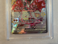 Pokemon TCG Charizard EX #74 Promo Paldean Fates PSA 8 NM-Mint Holo Promo - Image 3
