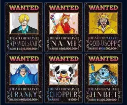 One Piece Trading Card Deluxe Premium Box Anime CCG Like Card (Laika) NEW - Image 4