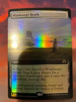 MTG Modern Horizons 3 Windswept Heath Extended Art Foil - Image 1