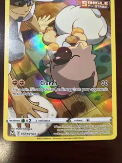 Rockruff - TG07/TG30 - Pokemon Silver Tempest Trainer Gallery Holo Card NM - Image 4