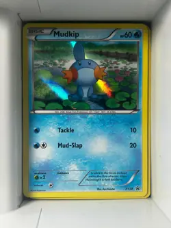Mudkip - XY38 - Holo Promo - XY Promo - Pokemon - XY38 - NM/M - Image 1