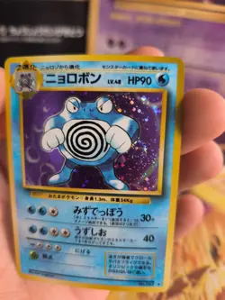 Pokemon Karte Card Quappo Poliwrath Expansion Base Set Holo Wotc japanese NM - Image 4