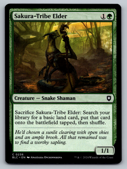 Sakura-Tribe Elder C 0236 Bloomburrow Regular - Image 1