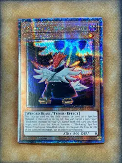 Yugioh Blackwing - Vayu the Emblem of Honor RA03-EN224 Quarter Century 1st Ed NM - Image 1