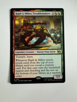 Raph & Mikey, Troublemakers Teenage Mutant Ninja Turtles Regular - Image 1