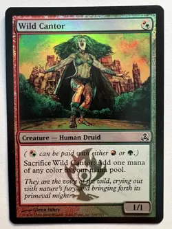 Wild Cantor - FOIL - MTG Guildpact - NM Common Creature Human Druid - Image 1