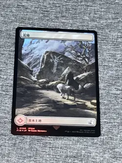 Wastes Foil - FIN 0309 NM/M- MTG Magic JP - Image 1