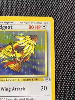 Pokemon TCG Pidgeot 8/64 Jungle Set Holo Rare WOTC VTG 1999 LP+ - Image 3