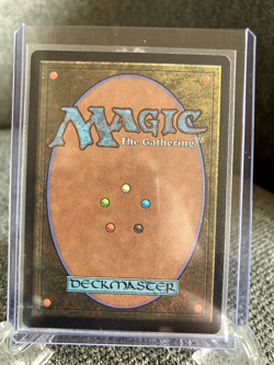 Hedge Maze MTG - Murder at Karlov Manor - NM+ - Image 2