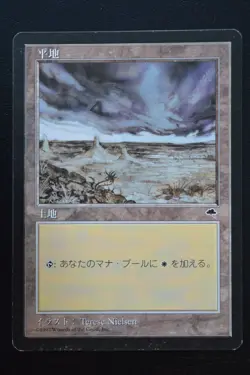 Magic The Gathering MTG PLAINS (ANT HILL) JAPANESE Tempest MP Moderately Played - Image 1