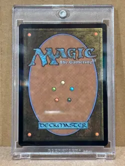 MTG TMNT !! Ninja Pizza 0093 Surge Foil Borderless 2026 !! Fresh from pack - Image 2