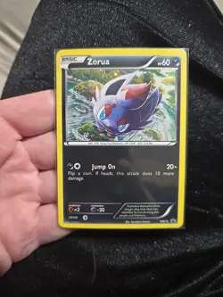 Zorua - BW12 - Black and White Promos (PR) - LP - Pokemon - English - Image 1