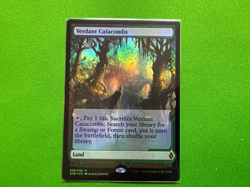 1x NM Foil Verdant Catacombs Zendikar Rising Expedition MTG Magic the Gathering - Image 1