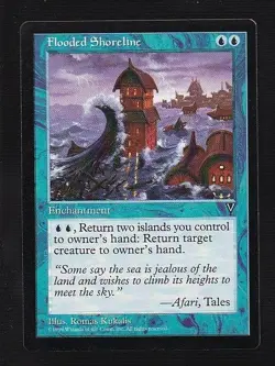 MTG Visions Flooded Shoreline - Image 1