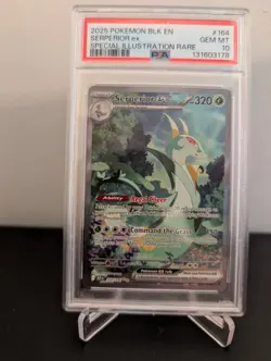 2025 POKEMON BLK EN-BLACK BOLT 164 SERPERIOR EX SPECIAL ILLUSTRATION RARE PSA 10 - Image 1