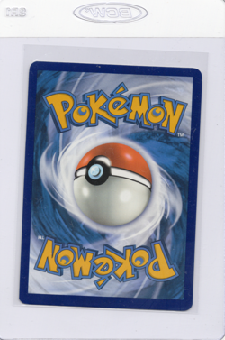 Pokemon TCG Turtwig Crown Zenith: Galarian Gallery Holo Rare Card GG31/GG70 - Image 2