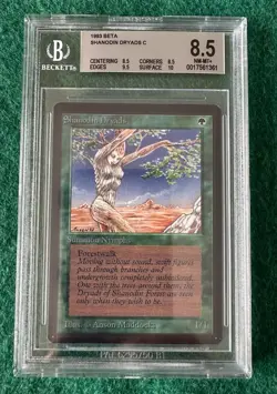 Shanodin Dryads - BETA - MTG - BGS 8.5. Quad++. More Vintage MTG In My Store. - Image 1