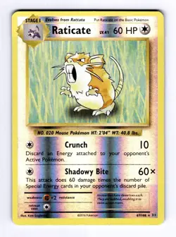 Raticate XY - Evolutions #67 (2016) Rare Reverse Holo NM Pokemon - Image 1