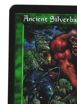 Magic The Gathering MTG - Urza's Destiny UDS 1999 - #101 Ancient Silverback FOIL - Image 2