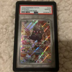 Pokemon TCG Morpeko Illustration Rare Card 206/182 Paradox Rift PSA 10 Gem Mint - Image 1