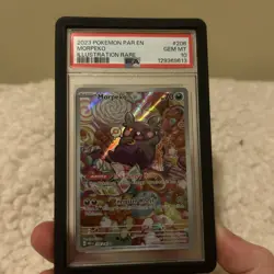 Pokemon TCG Morpeko Illustration Rare Card 206/182 Paradox Rift PSA 10 Gem Mint - Image 4