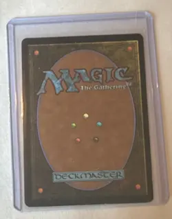 WOTC MtG Tsabo's Web 2000 Invasion Regular Card #317/350 English x1 - Image 2