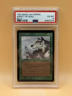 Aspect of Wolf – MTG Beta (1993) – PSA 6 EX-MT - Magic the Gathering - Image 1